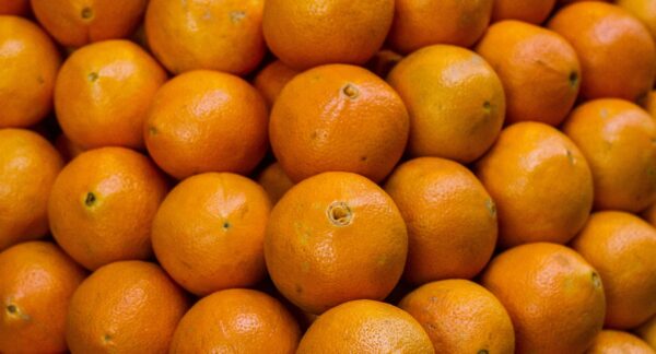 Naranjas. Foto: Agencia Uno