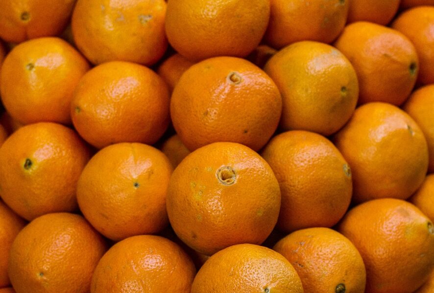 Naranjas. Foto: Agencia Uno