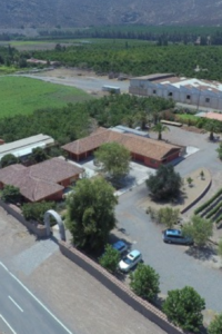 Citybest X en viñeados.