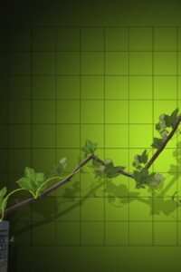 Ejemplo de inversiones verdes.