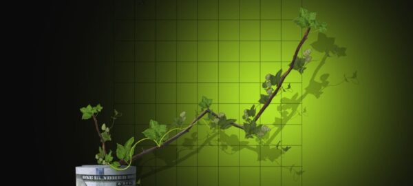 Ejemplo de inversiones verdes.