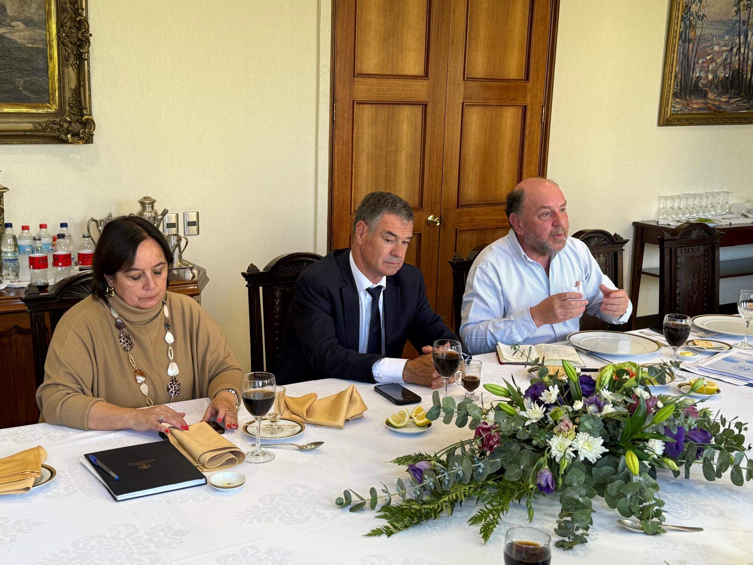 Carmen Gloria Aravena, Manuel José Ossandón y Alfredo Moreno. 