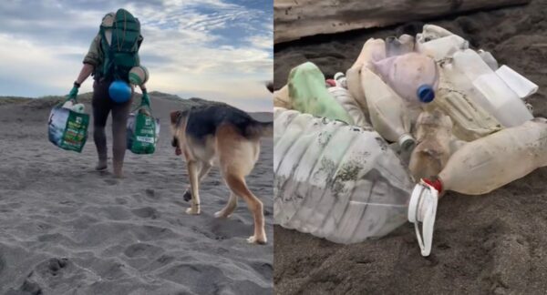 Británica limpia cauce en río de Pichilemu