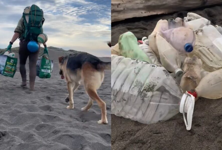 Británica limpia cauce en río de Pichilemu