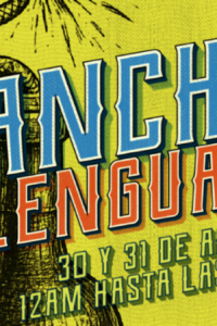 Flyer de la Feria de vinos Chanchos Deslenguados.