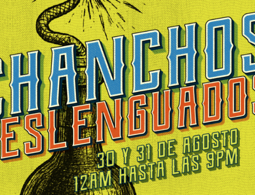 Flyer de la Feria de vinos Chanchos Deslenguados.