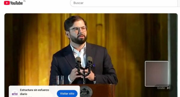 Boric estafa virtual