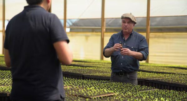 Consumo de mate en el sur de Chile