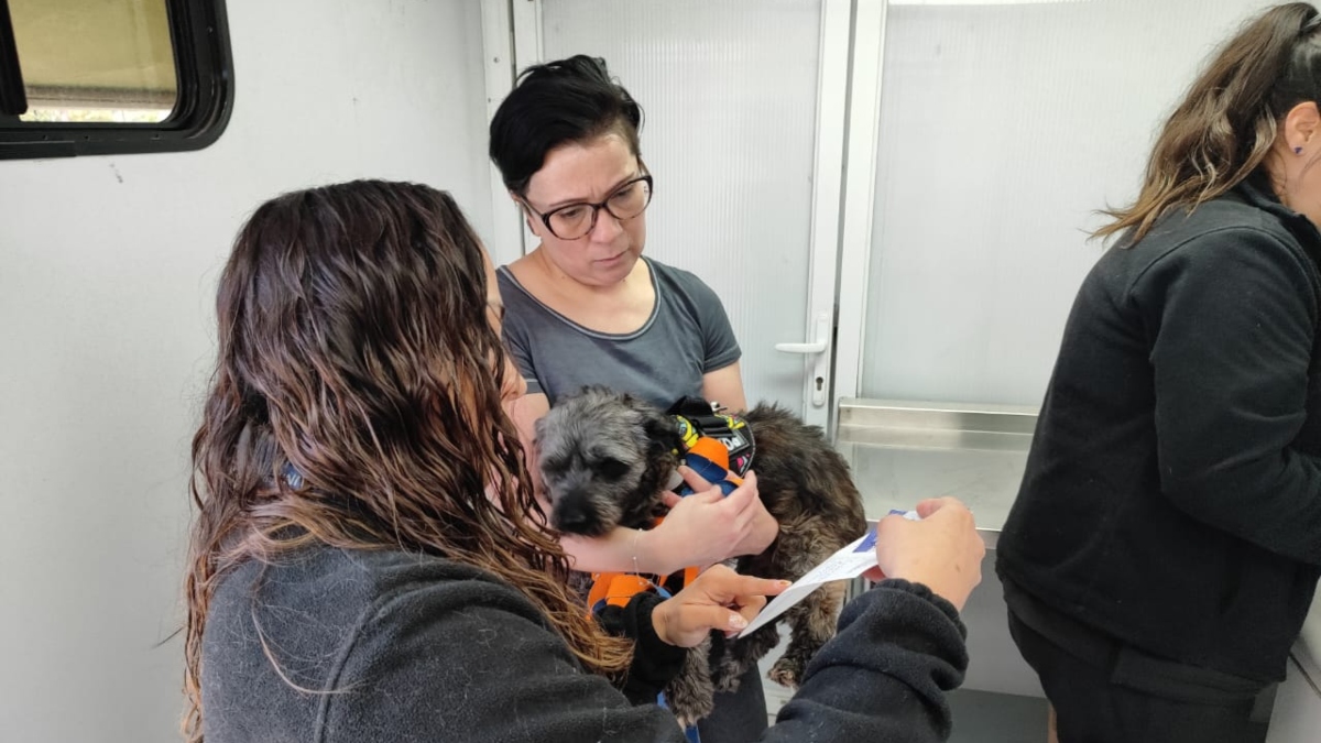 Inminente segunda etapa del desalojo de la Toma Dignidad: inician operativos de atención a más de 150 personas y ponen en marcha catastro de mascotas