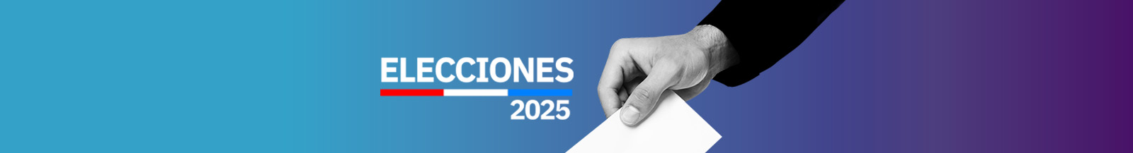 Elecciones Presidenciales 2025