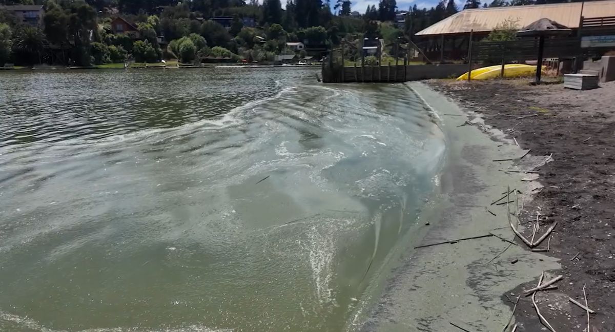 Lago Vichuquén contaminado