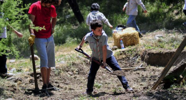 Niño scout