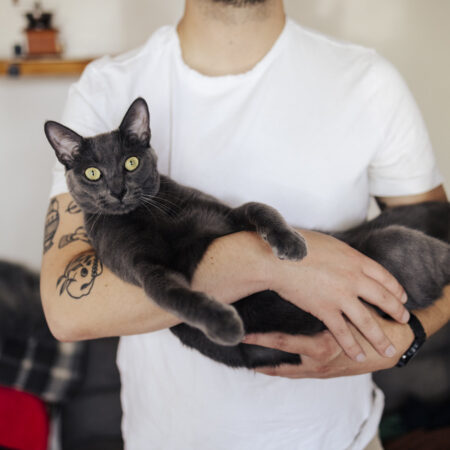 Sofrito Gato