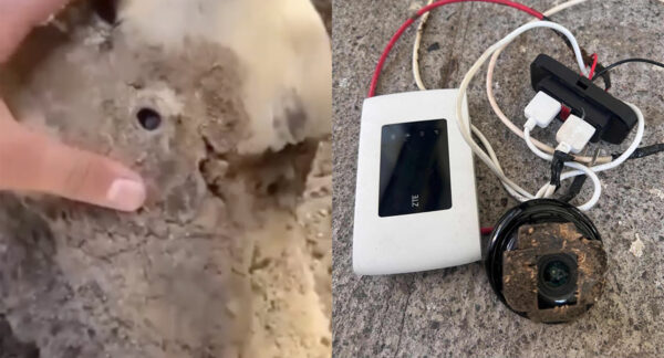 Cámaras ocultas en el INBA.