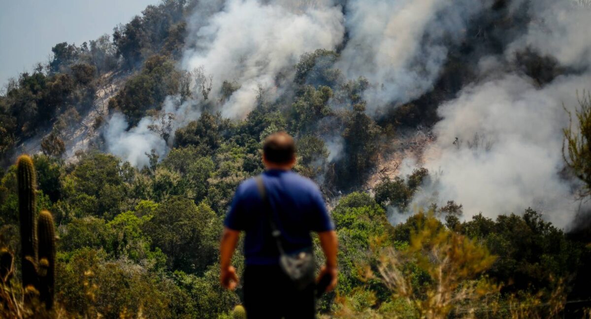 incendios forestales