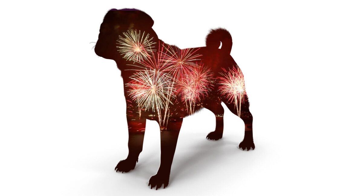 fuegos artificiales