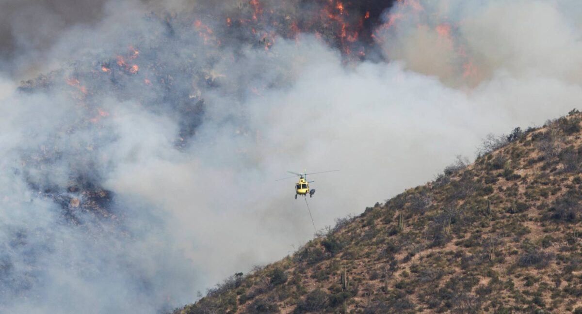 incendio forestal