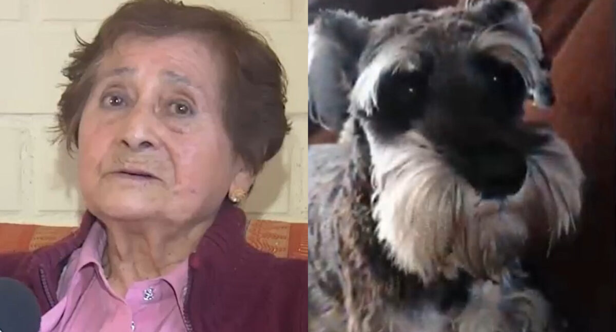 adulta mayor
