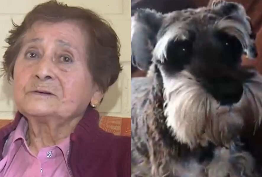 adulta mayor