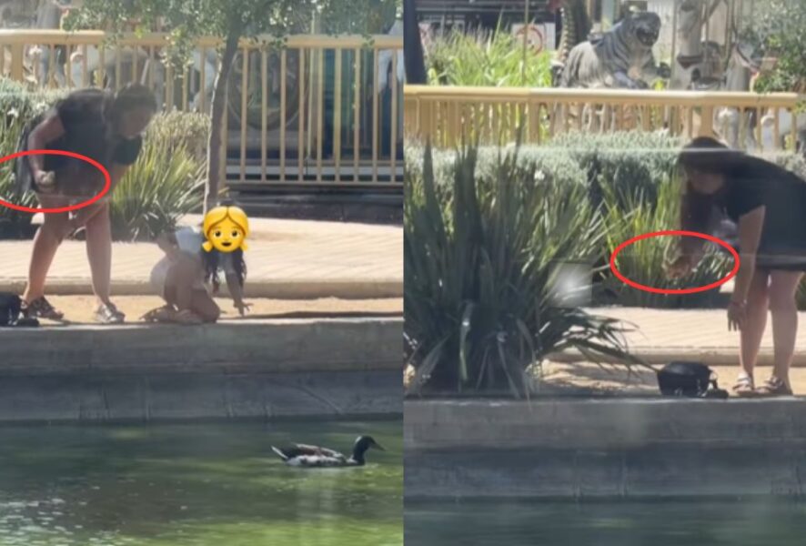 Robo de pato en Mall Plaza Cerrillos