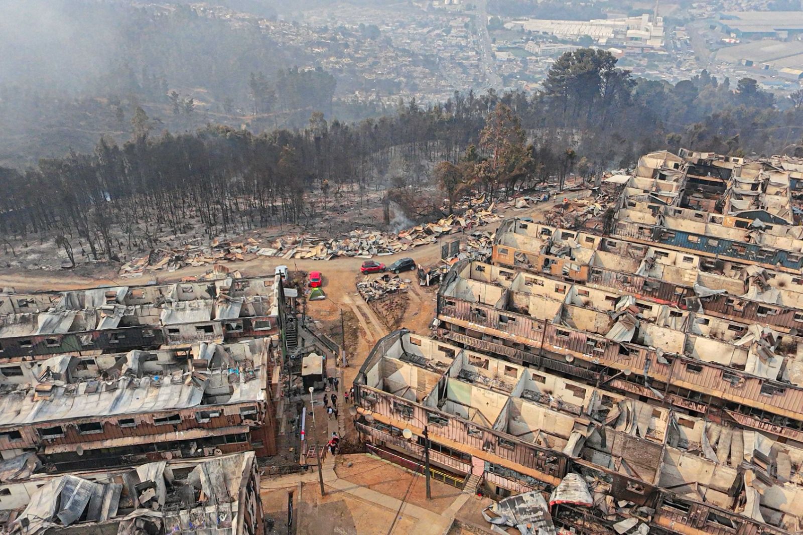 El impacto económico de los incendios en Ñuble y Biobío: consultoras ...