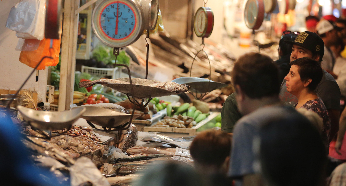 Alertan fraude alimentario por venta de tiburones y rayas en Chile: 80% se vendería con información falsa y expertos advierten riesgos para consumidores