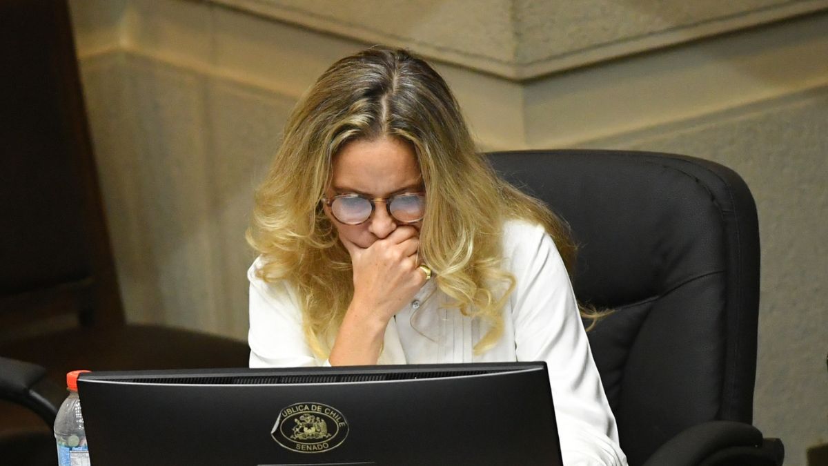 “No estoy de acuerdo con el ministerio de la Mujer, tendría que haber uno de hombres”: La intervención de la senadora Kaiser en plena comisión