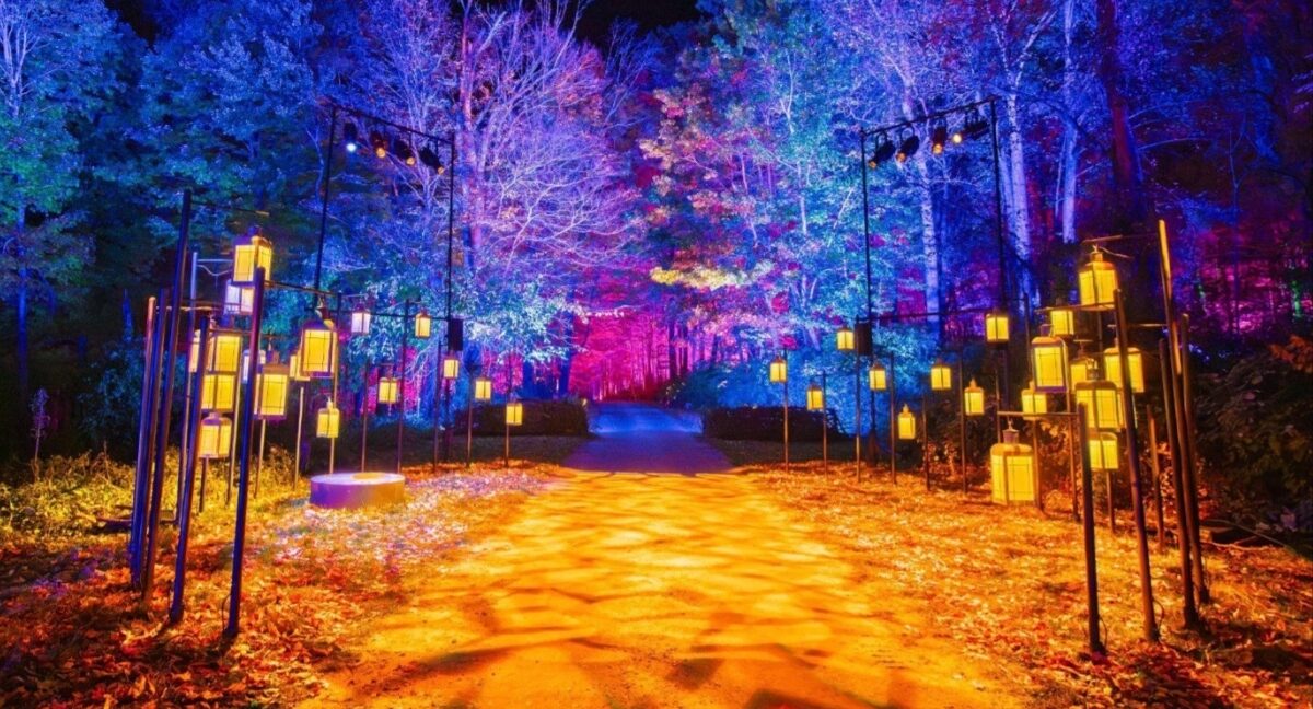 Sendero mágico bosque prohibido harry potter