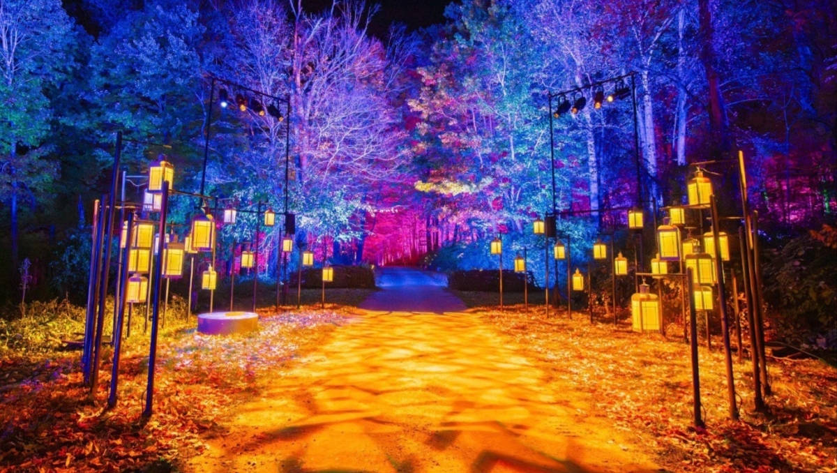 De Hogwarts a Santiago: El Bosque Prohibido de Harry Potter se instalará en el Parque Quinta Normal