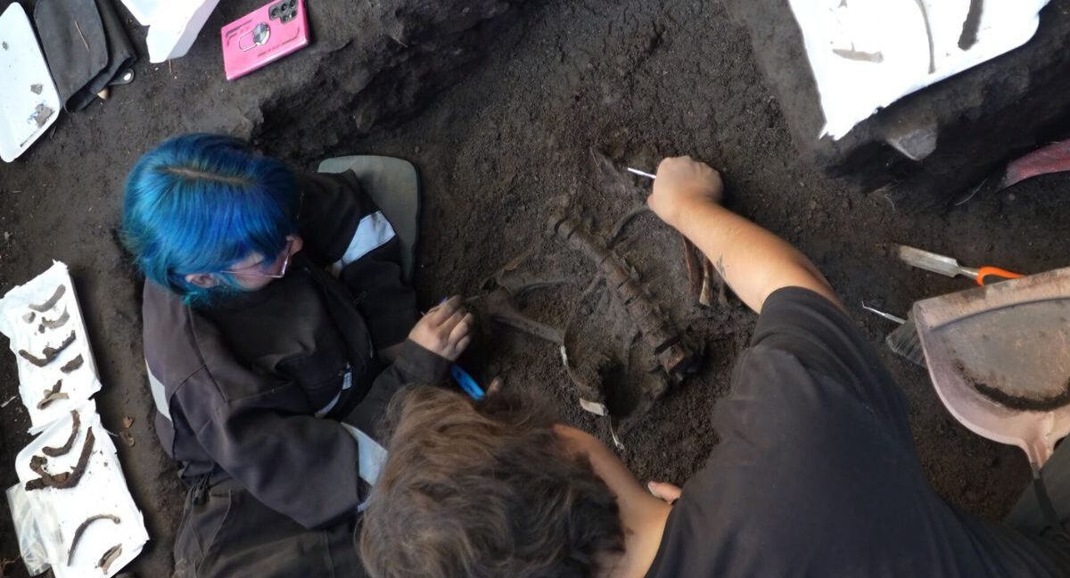 Hallazgo de restos humanos