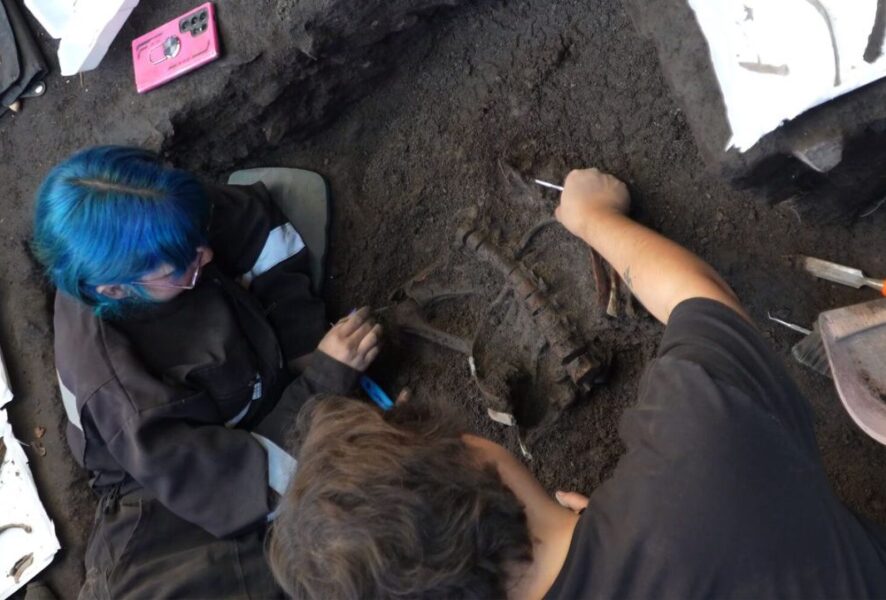 Hallazgo de restos humanos