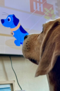 Perro viendo KNino, el canal para perros en la tv