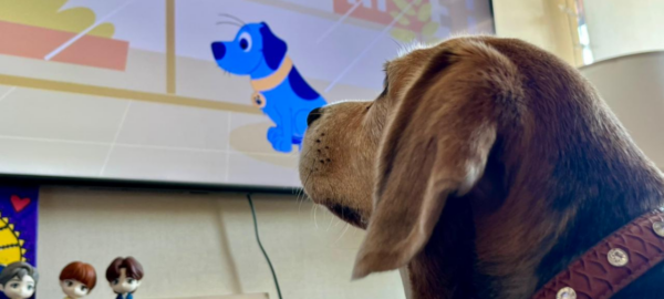 Perro viendo KNino, el canal para perros en la tv