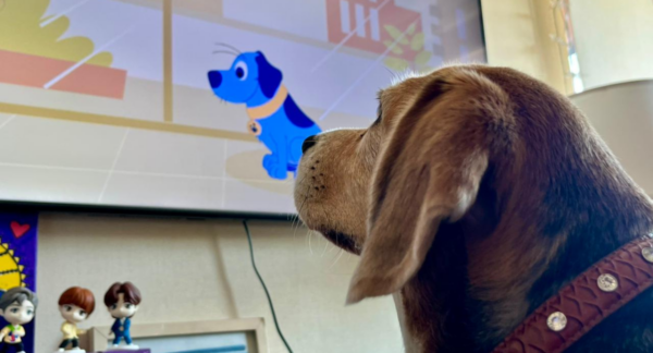 Perro viendo KNino, el canal para perros en la tv