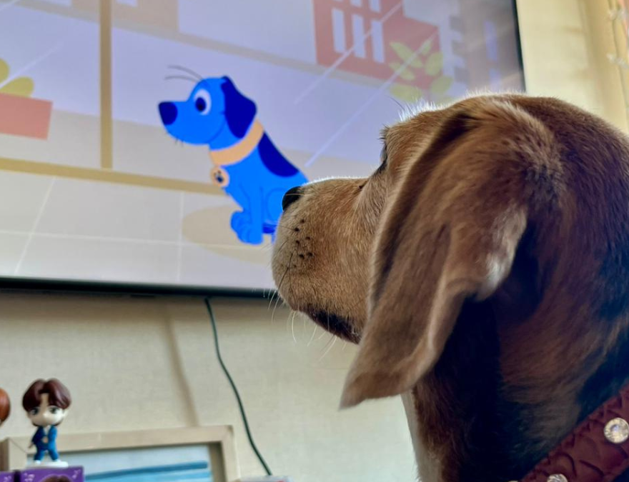Perro viendo KNino, el canal para perros en la tv