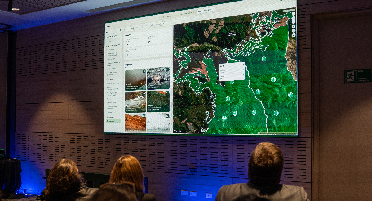 Se puede ver el desplazamiento de huemules o la ranita de Darwin: Arauco pone a disposición pública datos de biodiversidad de sus bosques