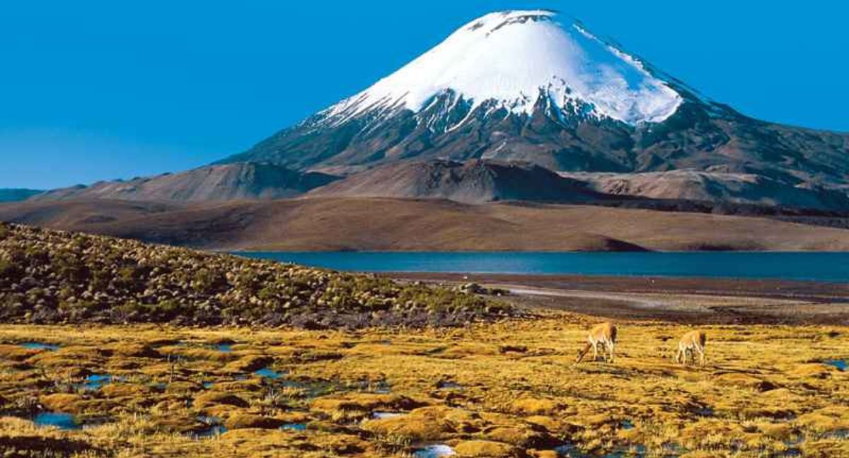Atacama, Aysén y Los Lagos fueron las regiones con mayor crecimiento en 2025