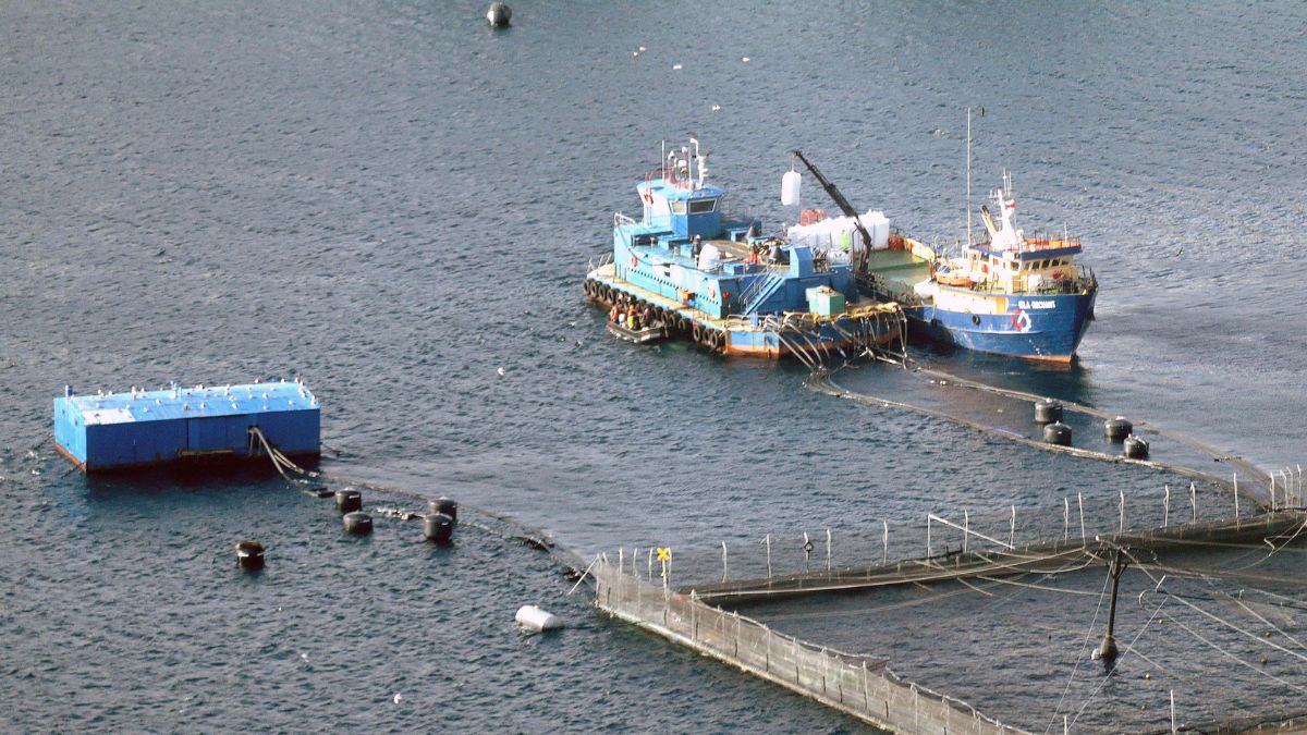 Familia de pescador fallecido en accidente en alta recibirá millonaria indemnización tras fallo de la Corte Suprema