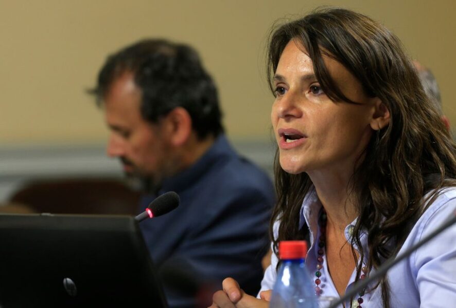 Andrea Repetto por Ley de Reconstrucción Nacional
