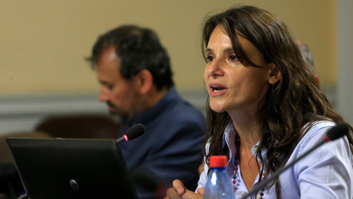 Economista Andrea Repetto se suma a las críticas a la Ley de Reconstrucción Nacional: “Es altamente riesgoso para las finanzas públicas”