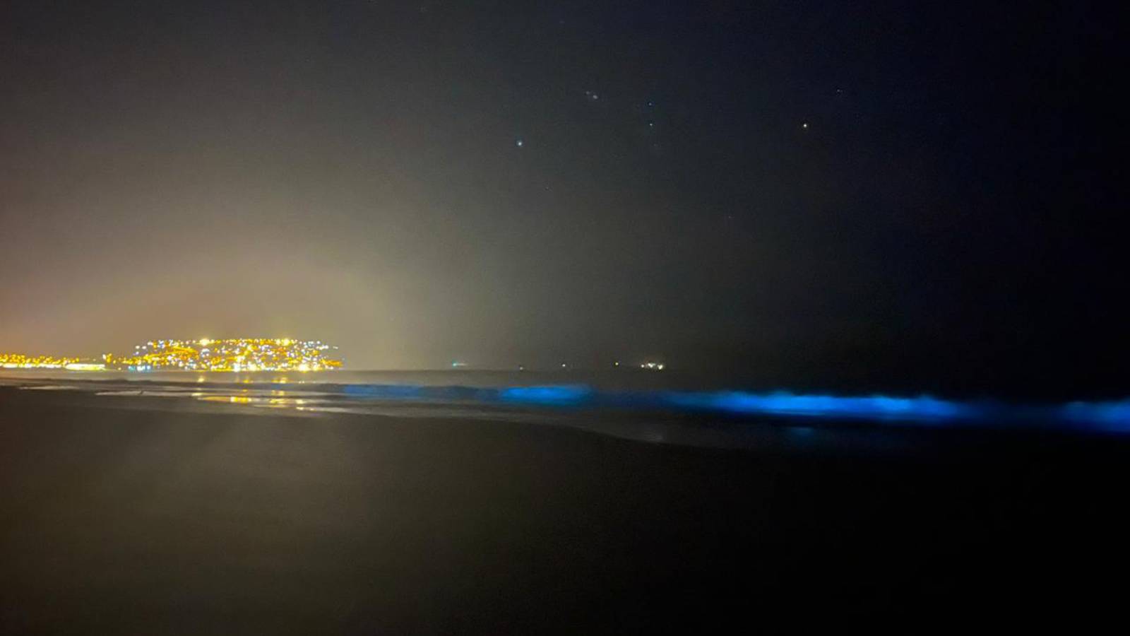Bioluminiscencia: el brillante resplandor azul que sorprendió a los visitantes de la costa de Guanaqueros