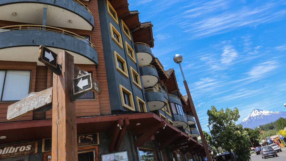 El caso de las perras fallecidas en Pucón por un cable del tendido eléctrico caído: “Hay dos víctimas, pero esto podría haber sido mucho más grave”