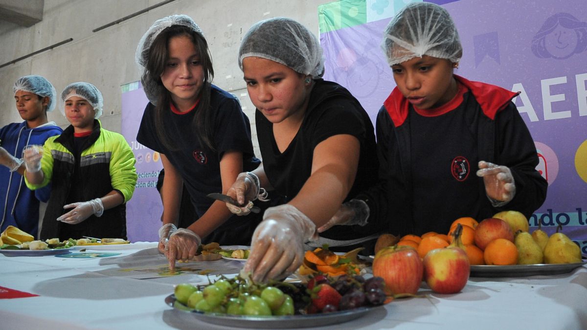 Director de Junaeb reitera que “los alumnos beneficiarios del PAE seguirán recibiendo su alimentación de forma normal, sin interrupciones”
