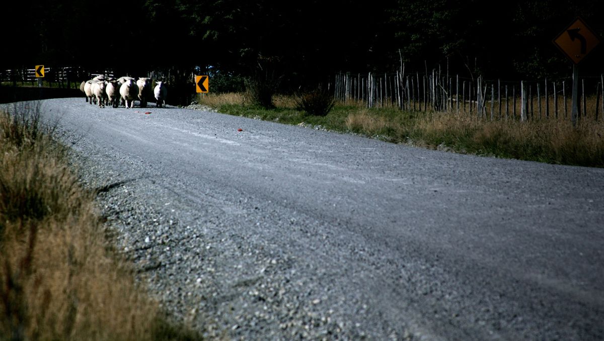 El millonario proyecto de inversión en la Carretera Austral que permitirá pavimentar tramo de más de 240 kilómetros