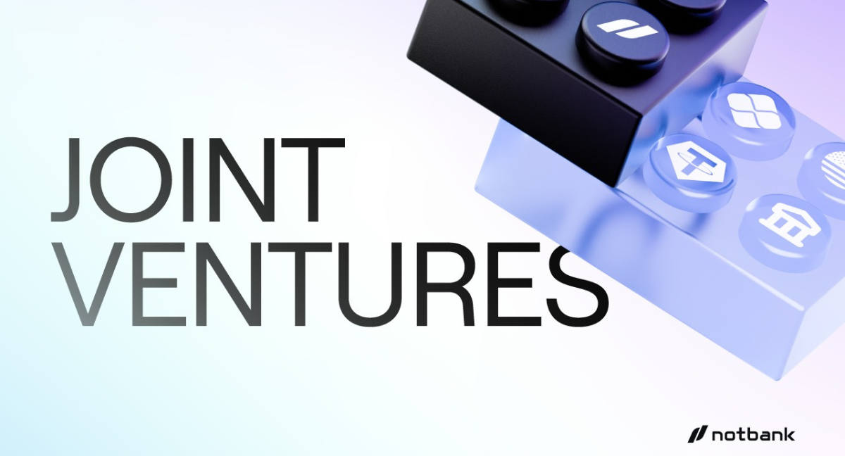 Joint Ventures de Rafael Meruane, CEO de Notbank