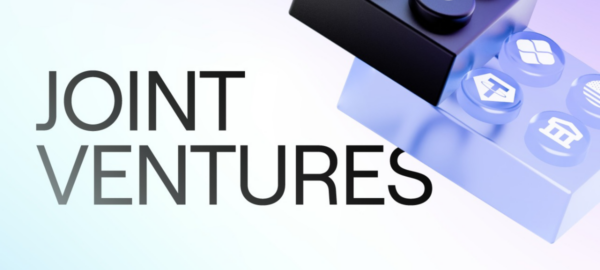 Joint Ventures de Rafael Meruane, CEO de Notbank