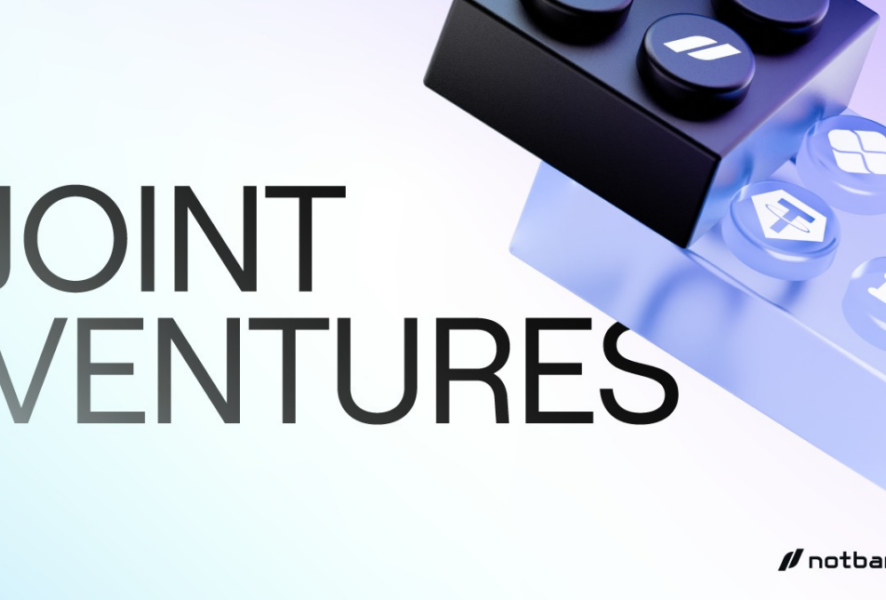 Joint Ventures de Rafael Meruane, CEO de Notbank