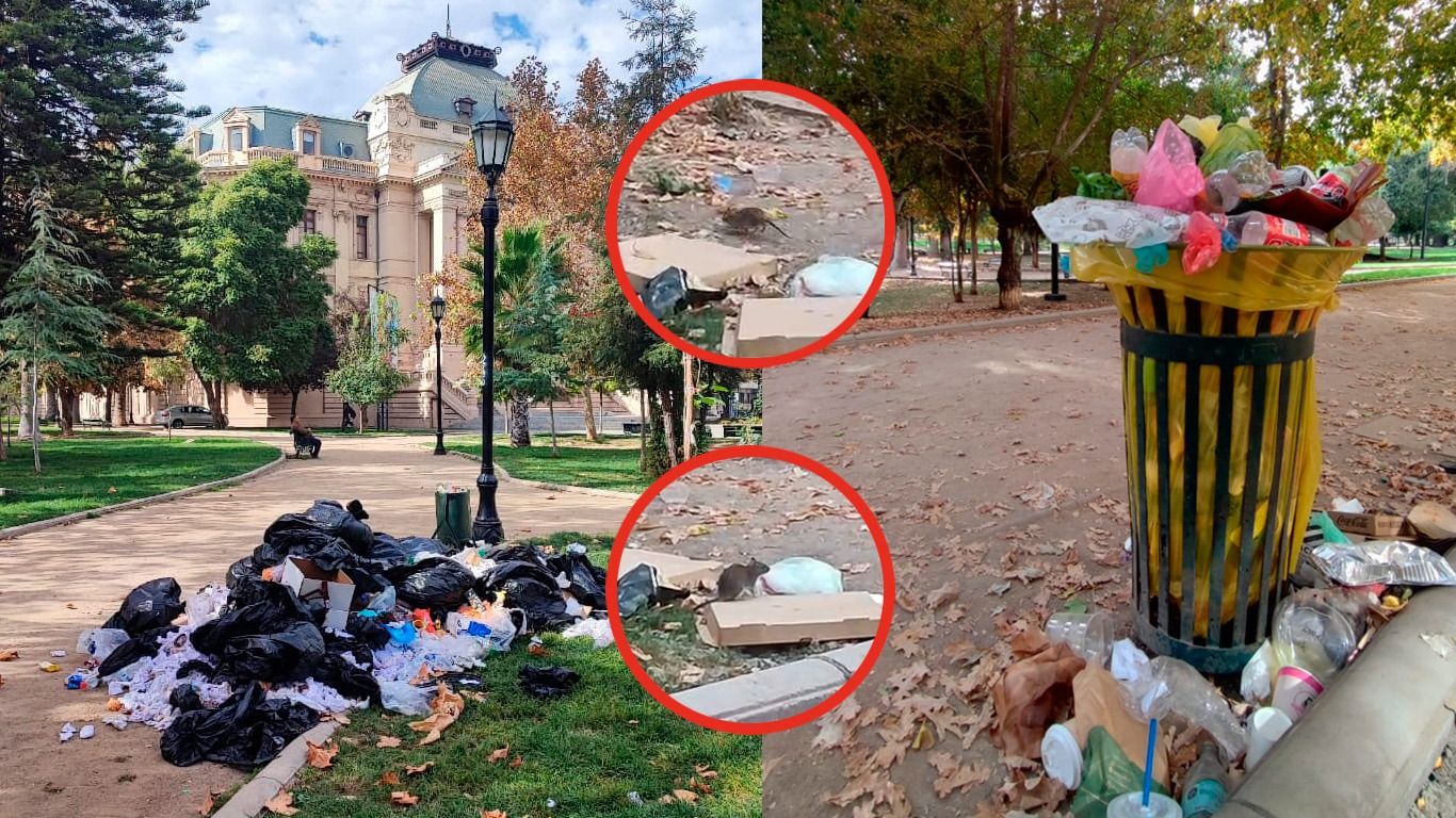 “Estamos viviendo rodeados de ratones y toneladas de basura”: Vecinos denuncian abandono en el aseo del Parque Forestal