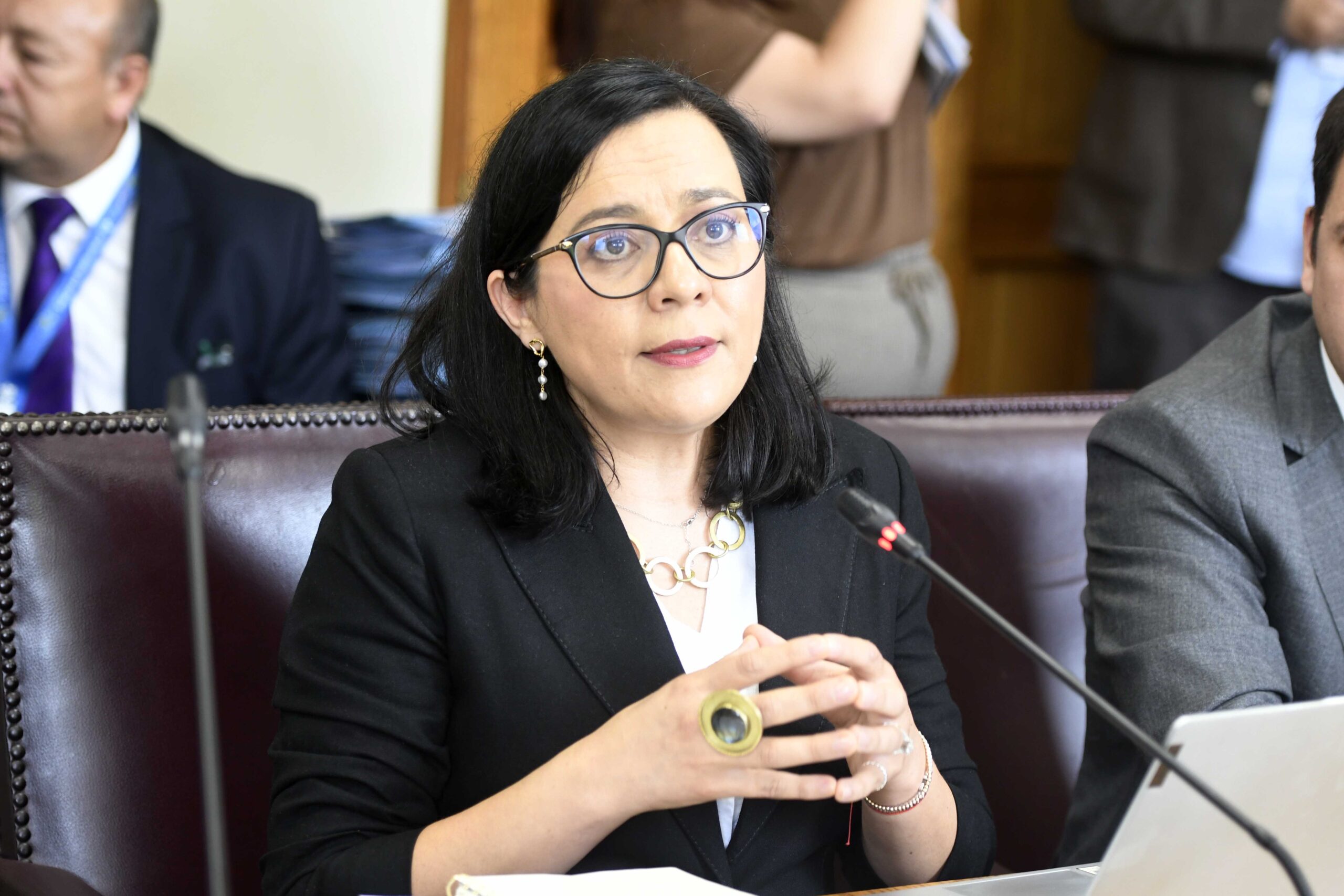Consejo Fiscal Autónomo advierte riesgos fiscales en megarreforma de reconstrucción y pide fuentes de financiamiento adicionales