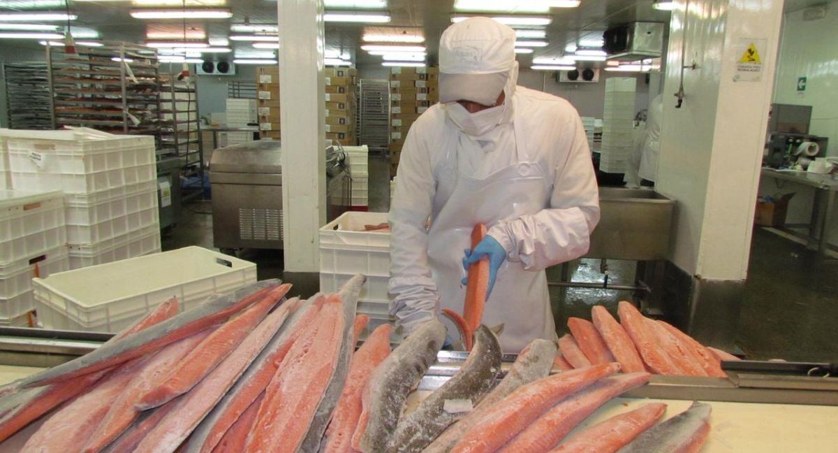 Nuevo plan de acuicultura identifica 68 solicitudes de relocalización para priorizar y reduce regulación para agilizar operaciones